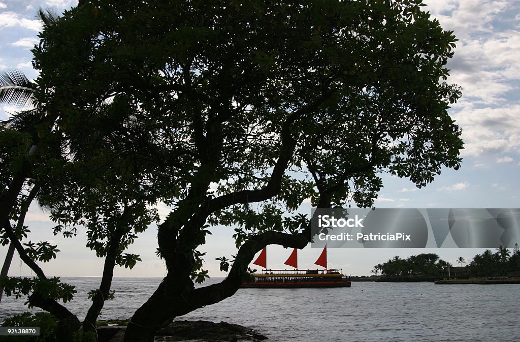 Kona de barco - Foto de stock de Bebida alcoólica royalty-free