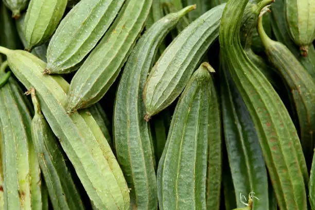 Photo of Close up of fresh Ridge Gourd