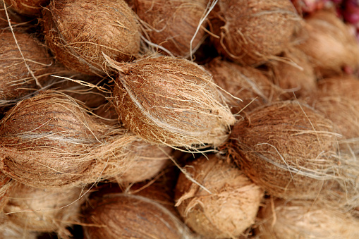 Pile of coconuts at vegetable market, india.