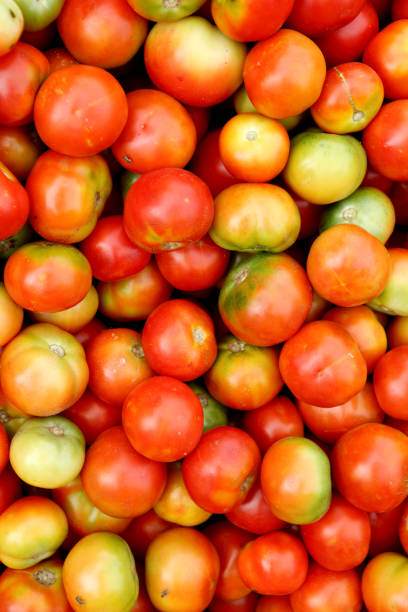 istock Fresh tomato at market 924389382