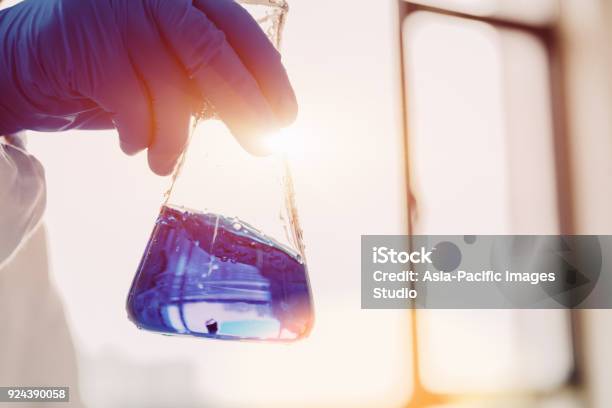 Flask In Scientist Hand Stock Photo - Download Image Now - Chemical, Chemistry, Chemistry Class