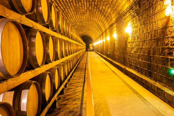 istock Wine Cellar with Wooden Barrels 924390442