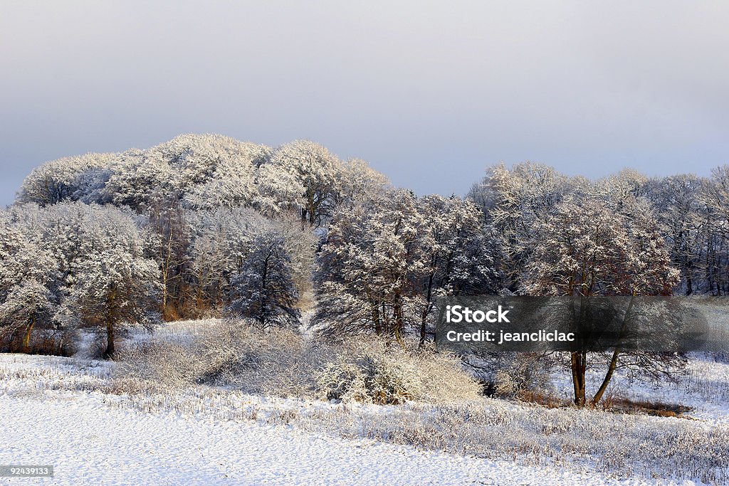 Зима 2 - Стоковые фото Белый роялти-фри