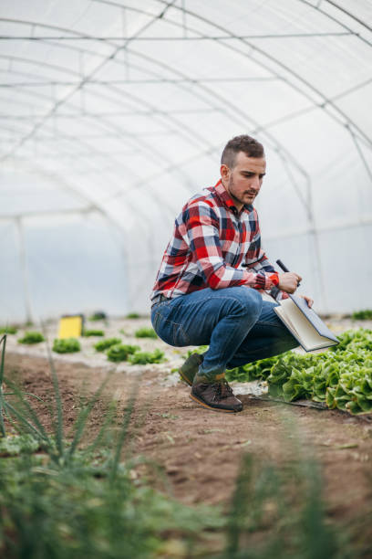 istock Young agronomist in greenhouse 924392564