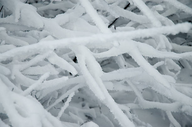 istock Blue Frost - Winter Wonderland 6 92439331