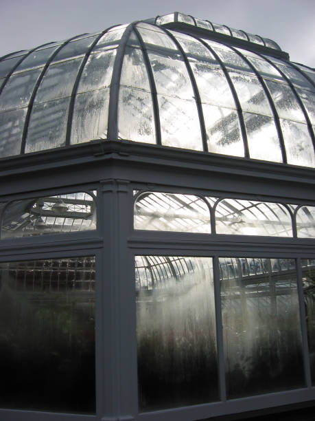 istock greenhouse in autumn 92439386