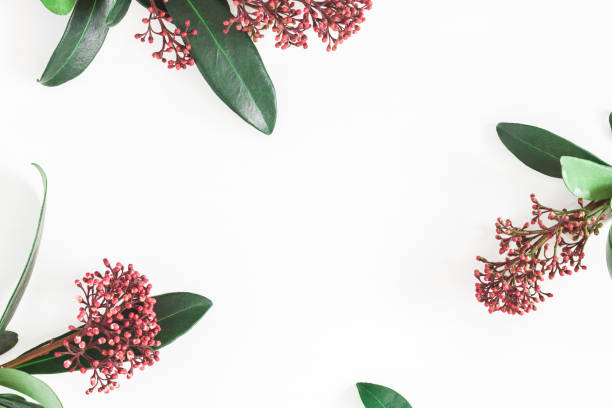 istock Tropical flowers leaves on white background. Flat lay, top view 924396530