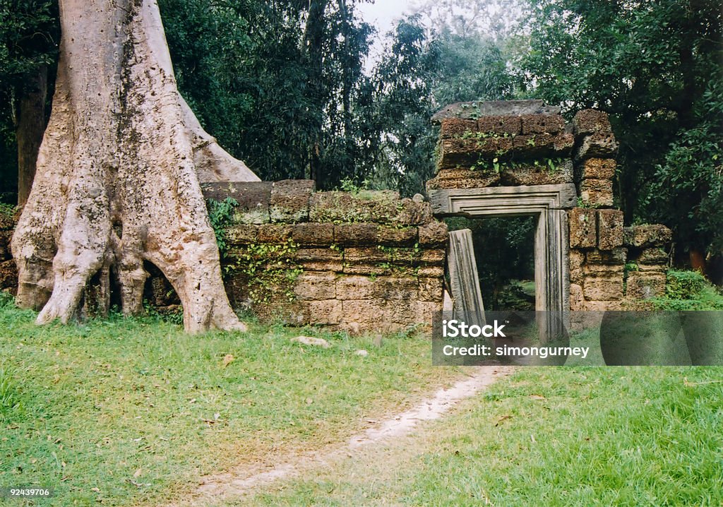 angkor wat Envahi par la végétation mur et porte - Photo de Angkor libre de droits