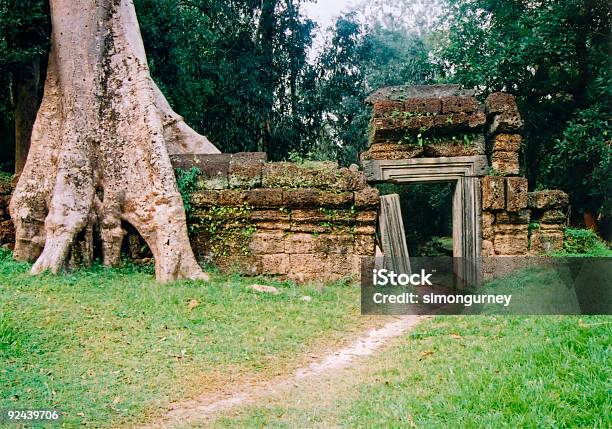 Angkor Wat Coperto Di Vegetazione Parete E Porta - Fotografie stock e altre immagini di Albero - Albero, Albero tropicale, Ambientazione esterna