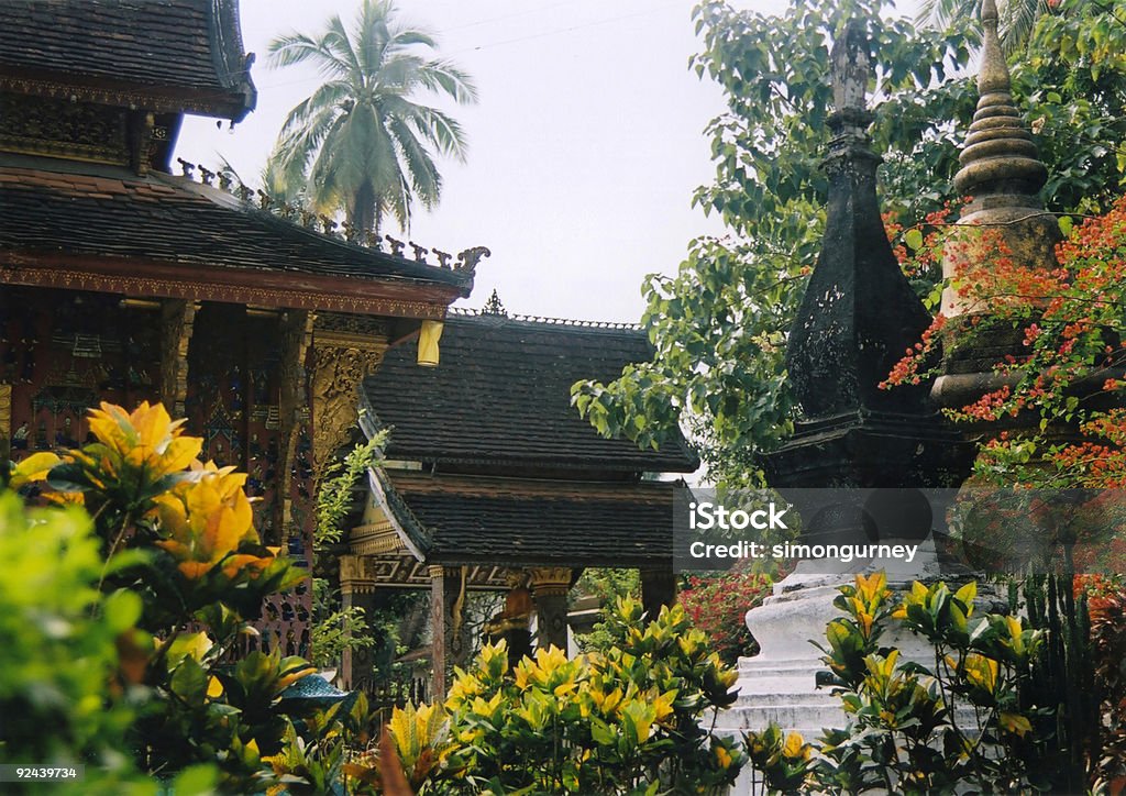 Temple Garden Tropical Flowers Luang Phabang  Abstract Stock Photo
