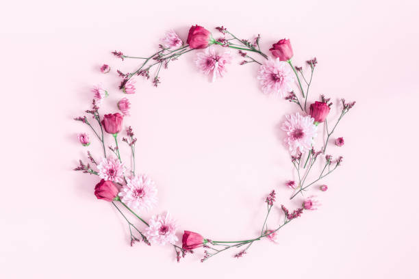 fiori rosa su sfondo rosa. lay piatto, vista dall'alto - corona di fiori composizione foto e immagini stock