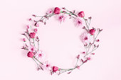 Pink flowers on pink background. Flat lay, top view
