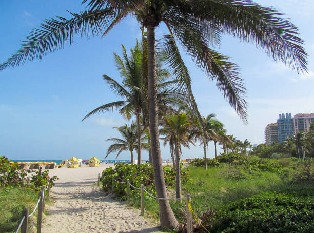 istock Walkway to Miami Beach, Florida, USA. 924399730