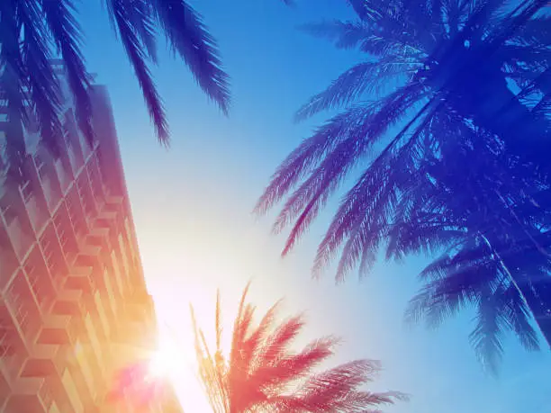 Beautiful sun rays from behind the house facade illuminate the city landscape of famous street - Lincoln Road on a sunny summer day.