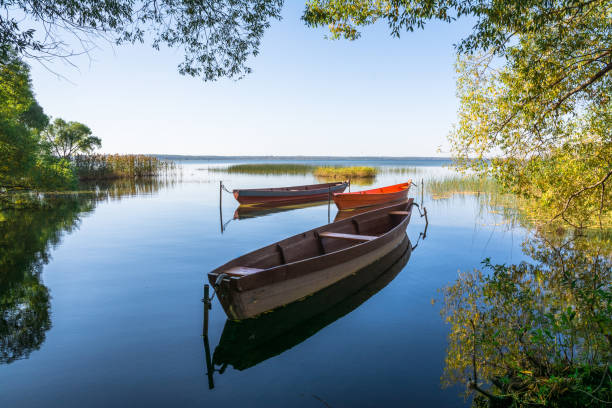 barche sull'acqua del lago circondate da alberi - plescheevo foto e immagini stock