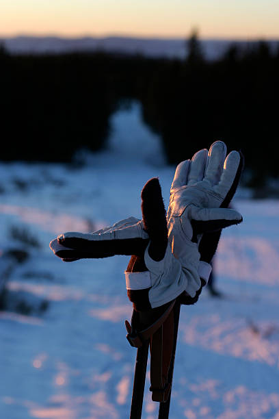 istock Gloves in the afternoon sun 92440679