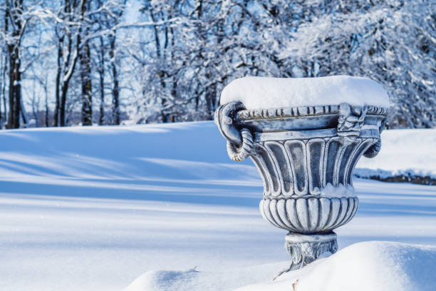 istock Big flower pot covered in fresh snow in winter park. 924407688