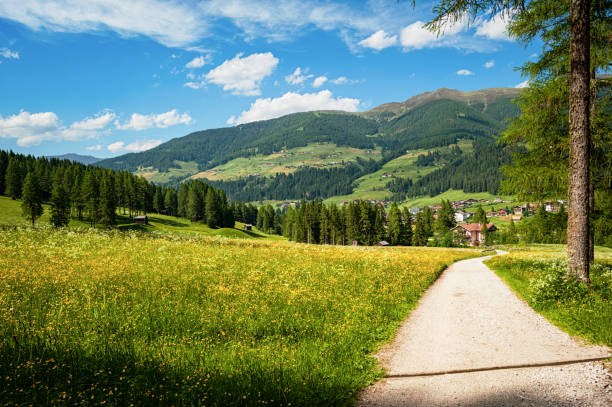 istock road in South Tyrol 924408210