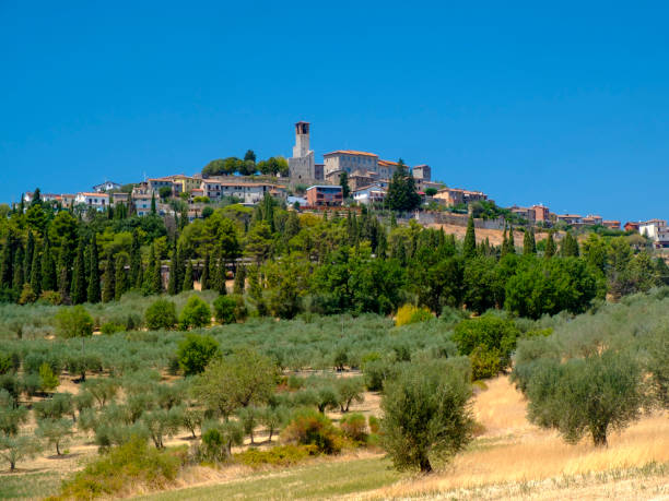 istock Summer landscape near Perugia 924408286