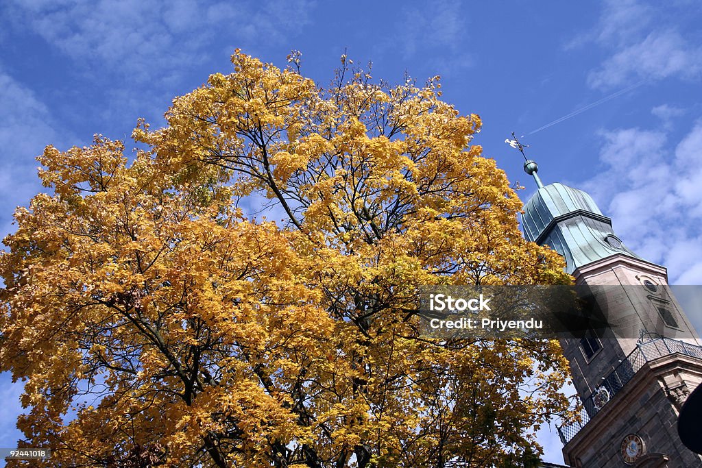 Árbol y Buildng en otoño - Foto de stock de Amarillo - Color libre de derechos