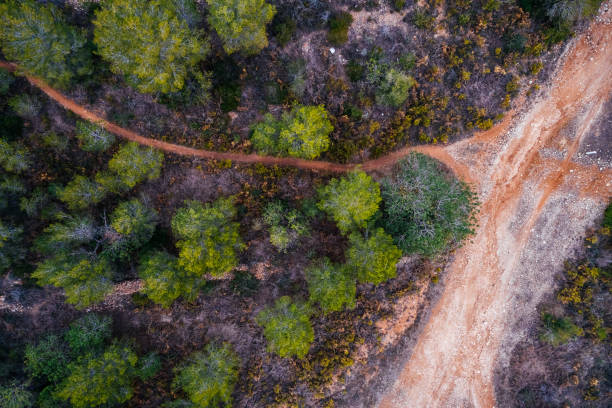 istock Aerial view of roads and forest 924410694