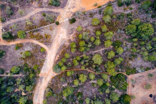 istock Aerial view of roads and forest 924410734