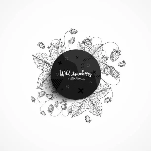 Vector illustration of Vector round banner with wild strawberry. Modern banner with hand drawn berries. With place for text. Healthy food. Great design for natural and organic products, label, poster, packaging design.