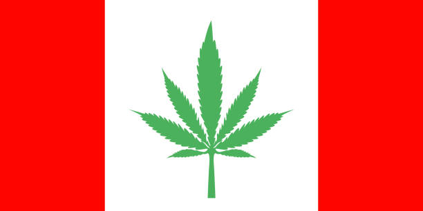 istock Cannabis Legalization - Adapted Canadian Flag 924412682