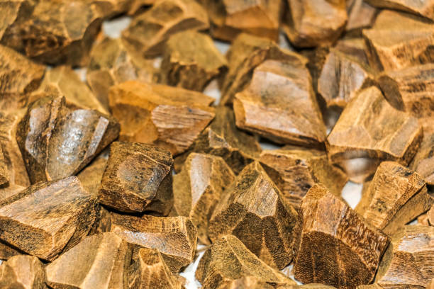 Arabian Oud, Agarwood, also called aloeswood, aloes, incense chips stock photo