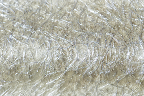 Detail glass fiber special for greenhouses