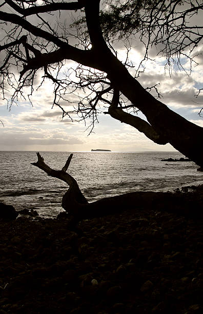 istock Isle at the end of day 92441671