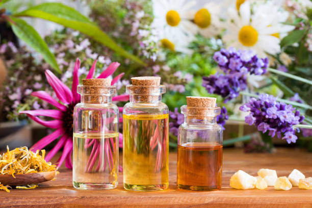 istock Three bottles of essential oil with frankincense, lavender, echinacea, chamomile and other herbs 924418326