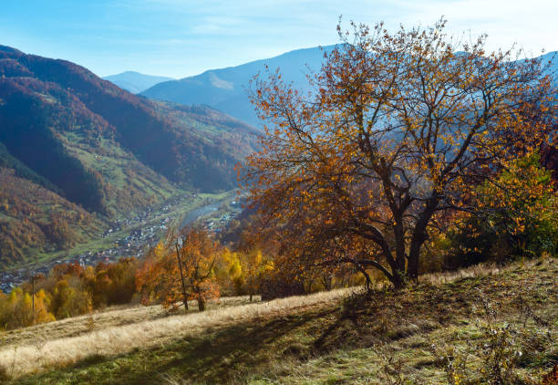 istock Autumn Carpathian mountain, Rakhiv, Ukraine 924419508