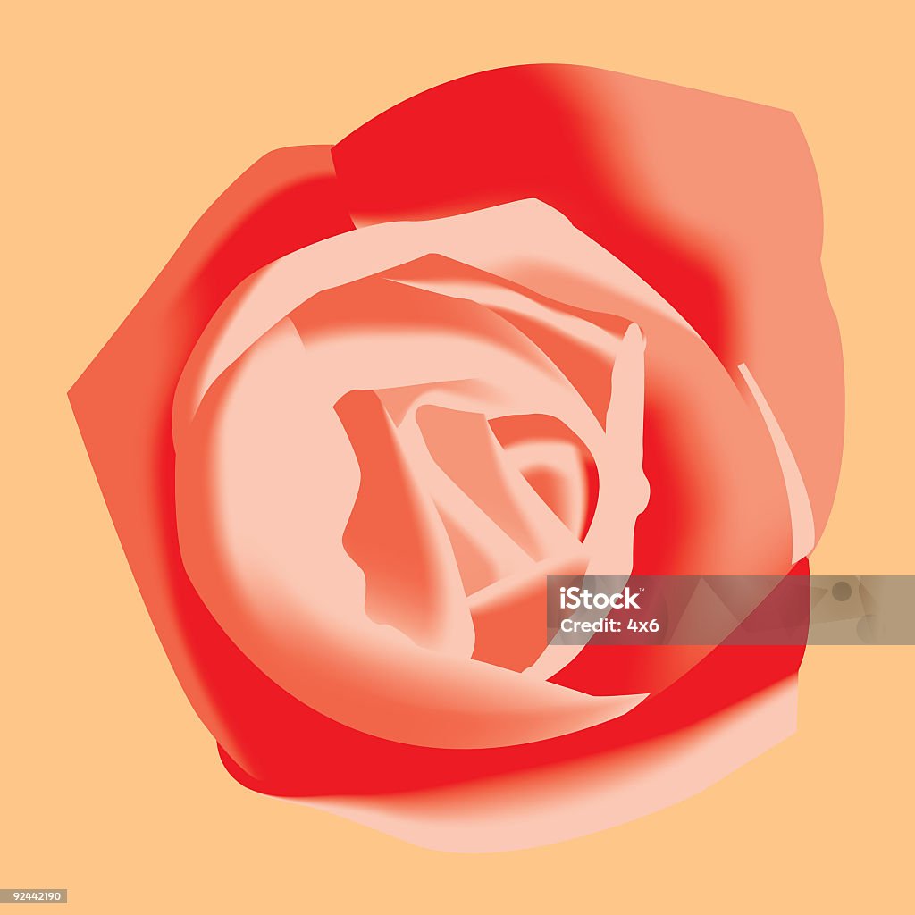Primo piano di rosa rossa-vettoriale - Illustrazione stock royalty-free di Bellezza naturale