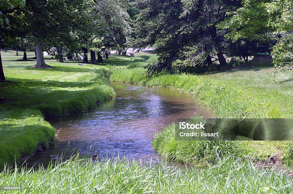 Park corriente - Foto de stock de Agua libre de derechos