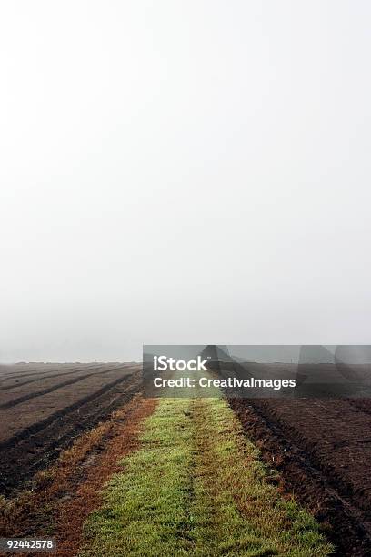 Estrada Para Nada - Fotografias de stock e mais imagens de Ao Ar Livre - Ao Ar Livre, Austrália, Castanho