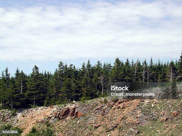 Paisaje De Rocas Árboles Y Cielo Foto de stock y más banco de imágenes de Acantilado - Acantilado, Agua, Aire libre