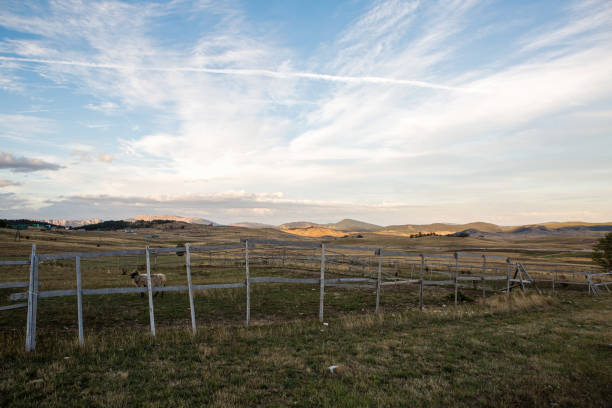 istock sunrise in Montenegro mountains in the background and fields 924428758