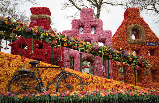 Noordwijkerhout, Netherlands - April 21,  2017: Platform with  tulips and hyacinths during the traditional flowers parade Bloemencorso from Noordwijk to Haarlem in the Netherlands.