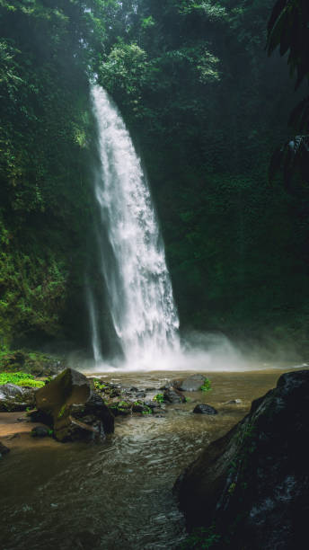 istock Amazing Nungnung waterfall, Bali, Indonesia 924434266