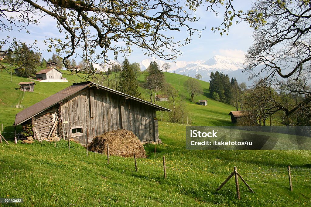 Suiza Alpes en Interlaken - Foto de stock de Aire libre libre de derechos