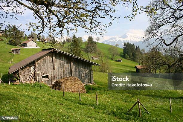 Suiza Alpes En Interlaken Foto de stock y más banco de imágenes de Aire libre - Aire libre, Alpes Europeos, Alpes suizos