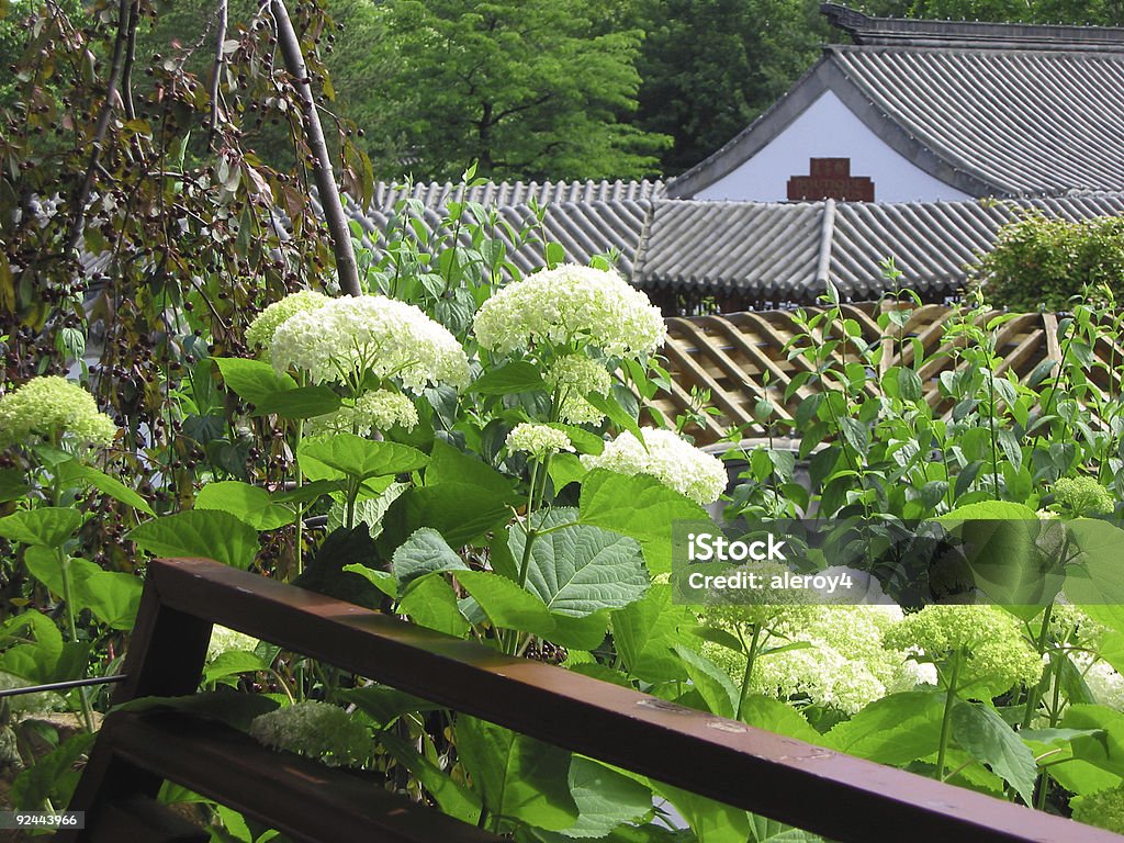 Ver con hydrangeas - Foto de stock de Arquitectura libre de derechos