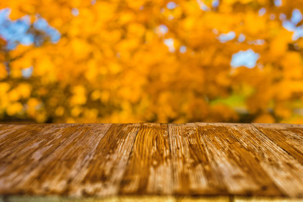 istock Empty rustic wood table top on blurred colorful autumn leaves background in bright fall forest. Can montage or display your products 924440934
