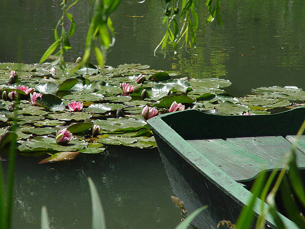 Monet's Water Lily Pond stock photo