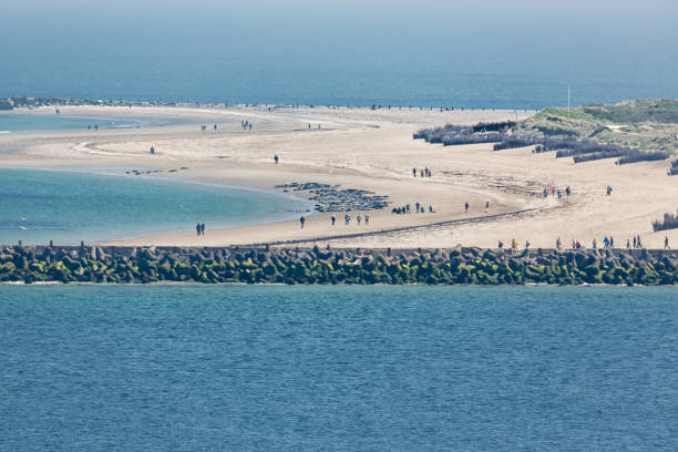 Aerial view German island Dune with seals at the beach