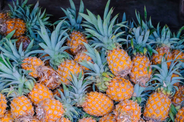 istock A lot of pineapple fruit background 924443428
