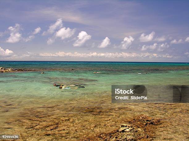 サンゴ礁シュノーケリング - ウォータースポーツのストックフォトや画像を多数ご用意 - ウォータースポーツ, カラー画像, カリブ海