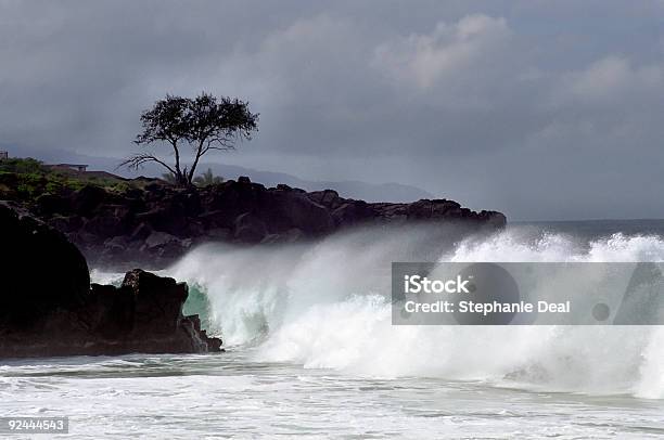 Onde Che Si Infrangono Sulla Riva - Fotografie stock e altre immagini di Acqua - Acqua, Albero, Ambientazione esterna