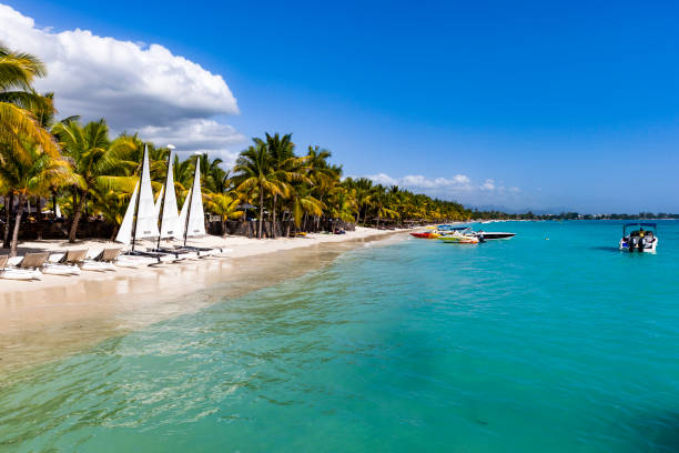 istock beach coastline mauritius island, africa 924450164